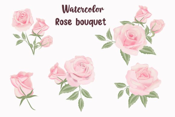 Download Watercolor Rose Bouquet Illustration - Rose bouquet illustration Collection